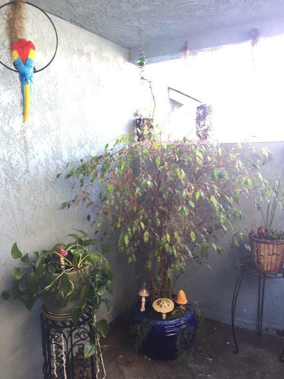 Pacific Beach Butterfly Suite San Diego Exterior foto