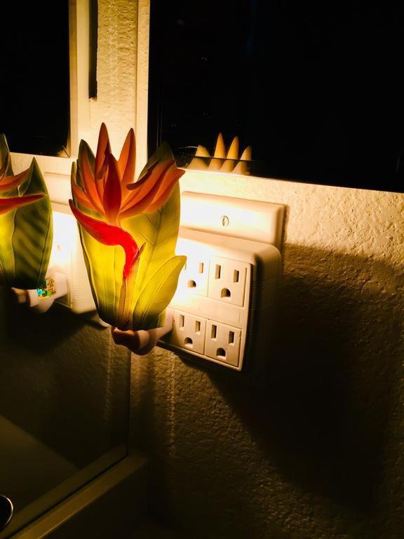 Pacific Beach Butterfly Suite San Diego Exterior foto